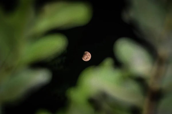 Lunar Eclipse 2023 Photos