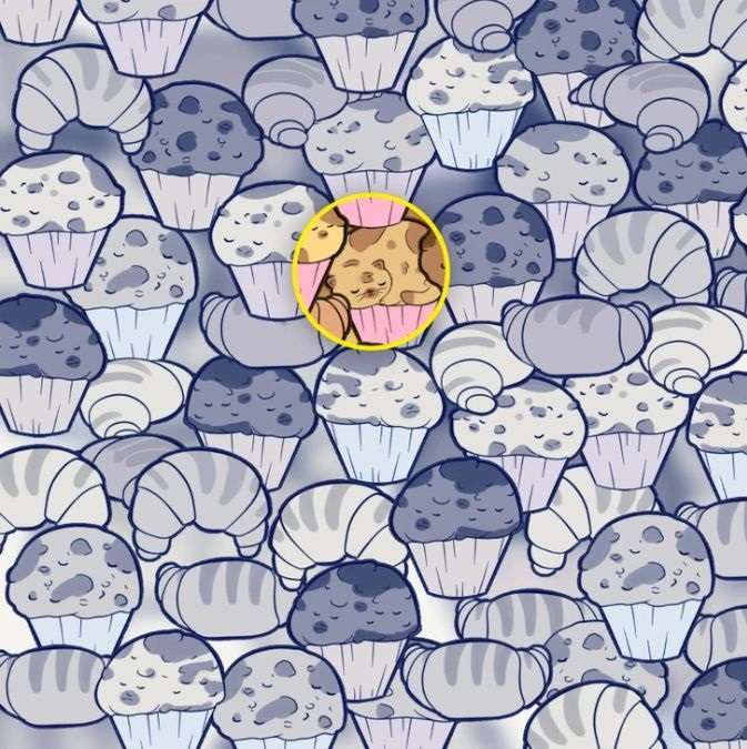 hidden animals optical illusions with answers