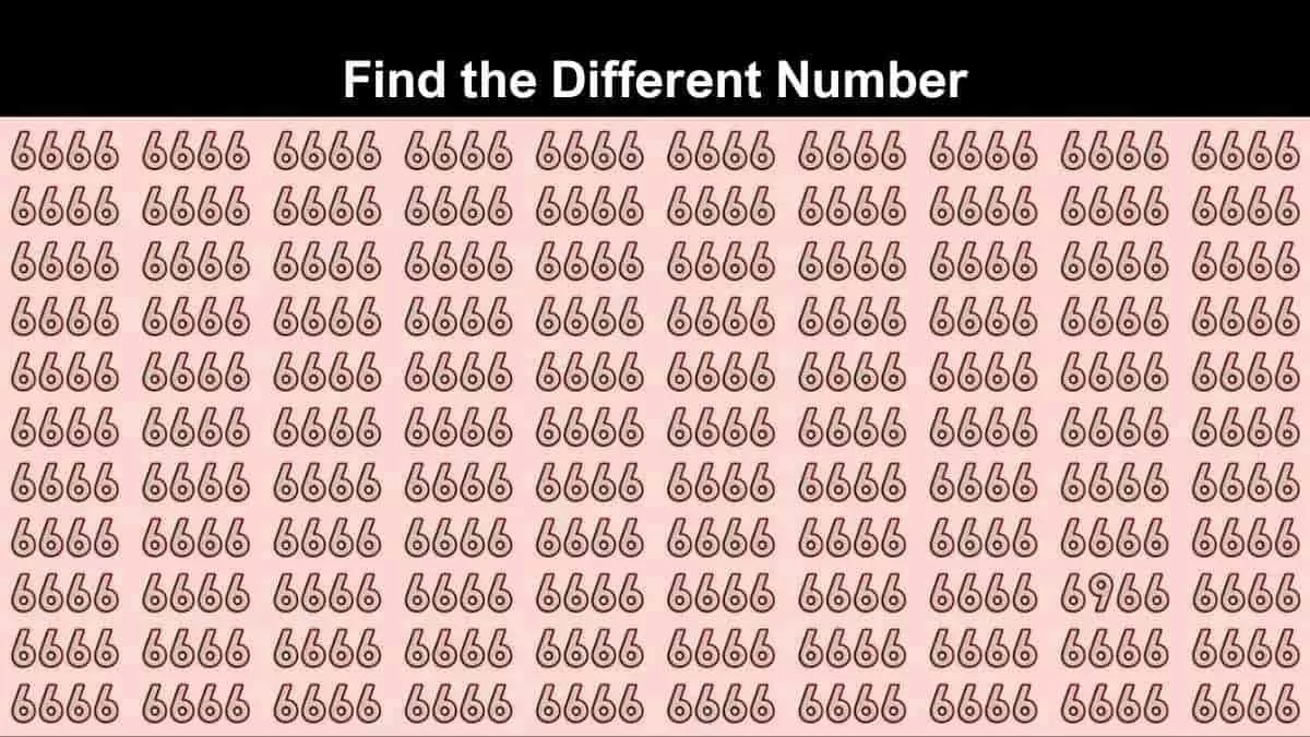 Find The Different Number in 5 Seconds