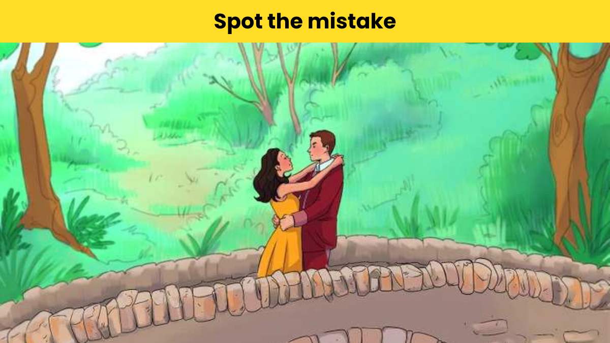 Only intelligent people can spot the mistake in the bridge picture within 6 seconds.