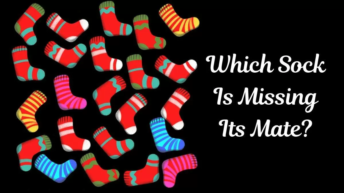 Brain Teaser to Test Your IQ: Can You Spot the Sock With No Pair in ...