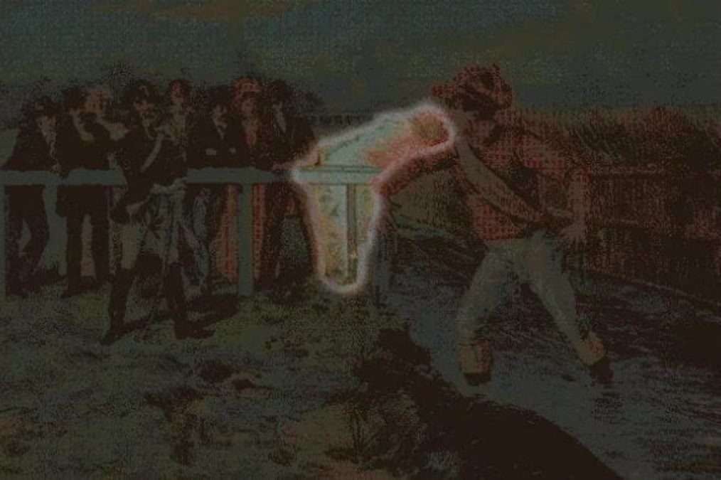 hidden animals optical illusions with answers