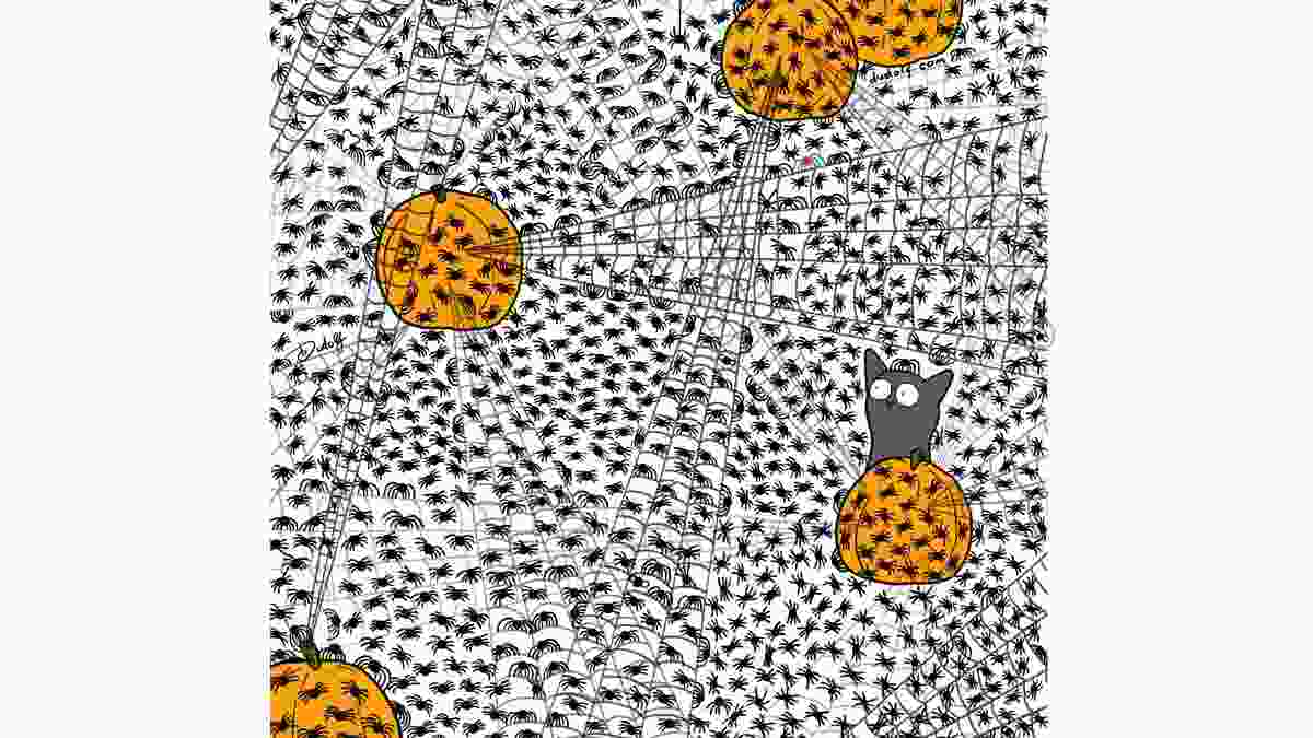 all the flies are here