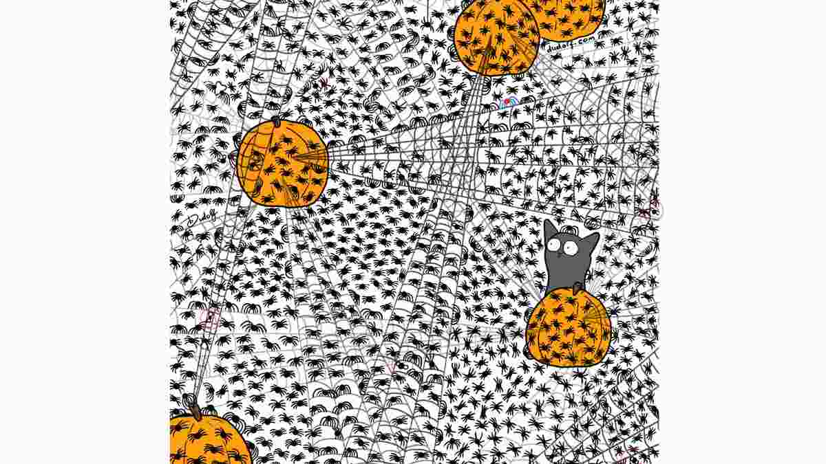 where are all the 7 flies hidden in the pictiure