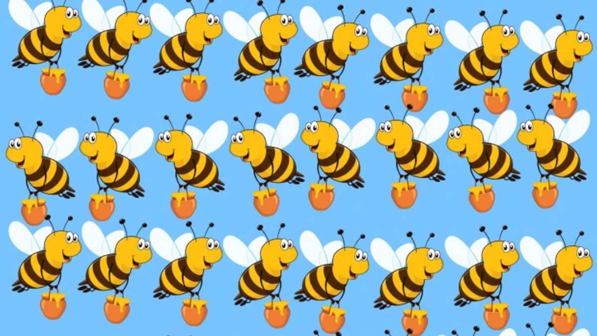 Brain Teaser for Testing Your IQ: Can you spot the ODD Honey Bee in picture within 9 secs?