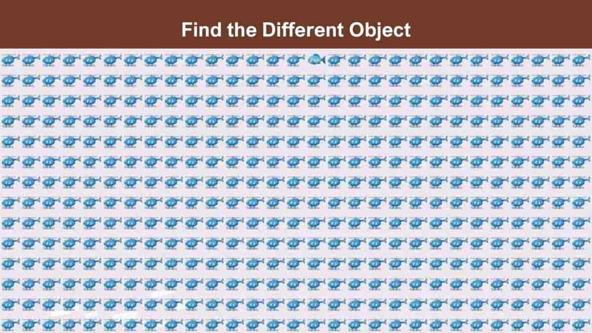 Only the smartest people on the planet can spot the different object in the picture in 4 seconds!