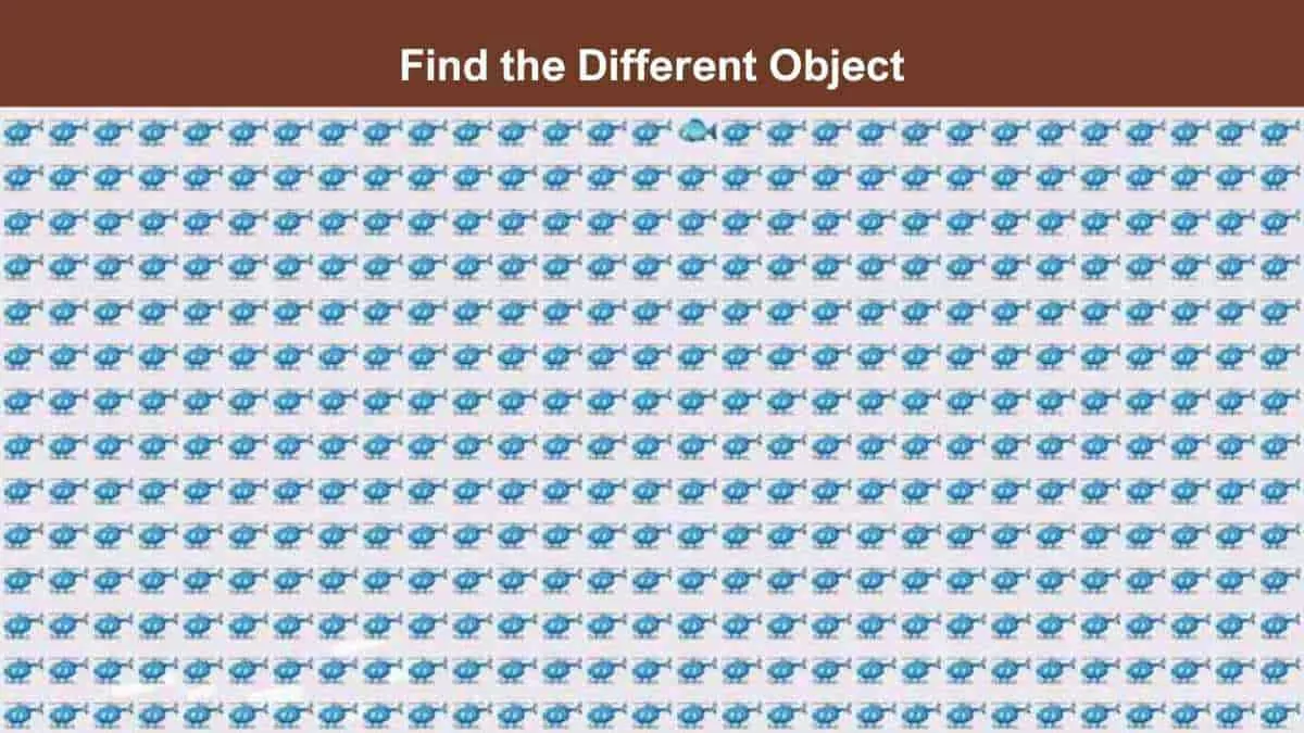Find Different Object in 4 Seconds