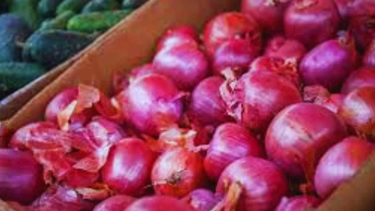 Why are Nashik Onion Traders on a Strike? What are their demands? 
