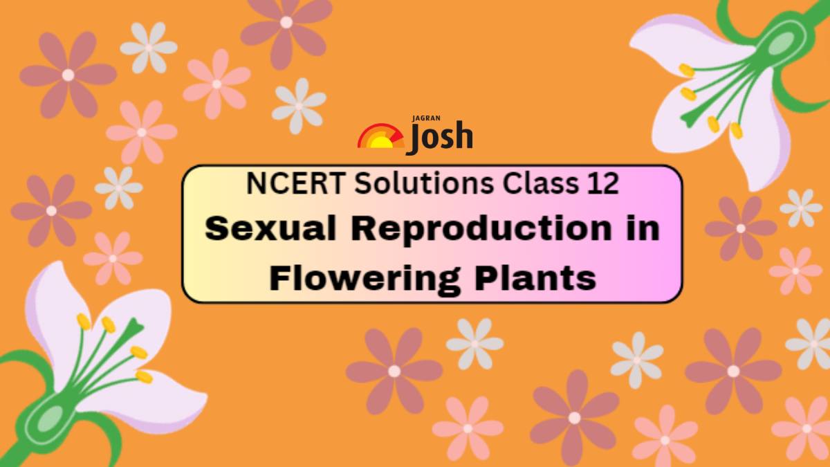 Ncert Solutions For Class 12 Chapter 1 Sexual Reproduction In Flowering Plants Download Pdf 6408