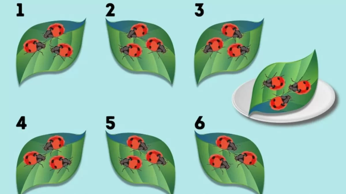 Brain Teaser for Testing Your IQ