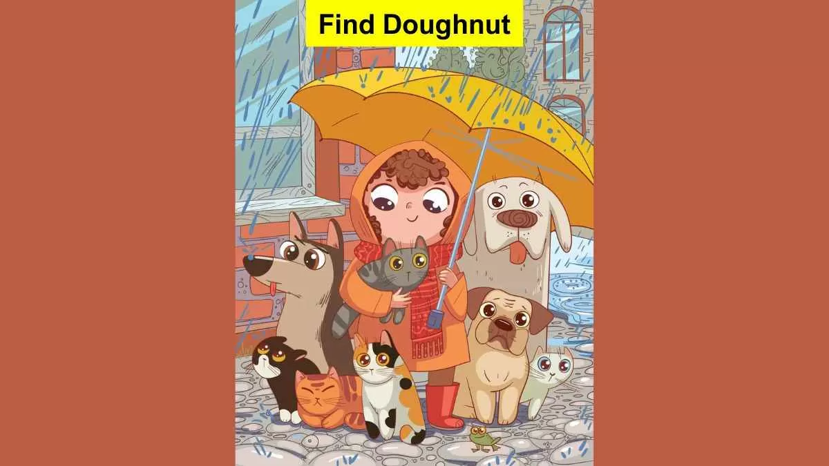 Find Doughnut in 6 Seconds
