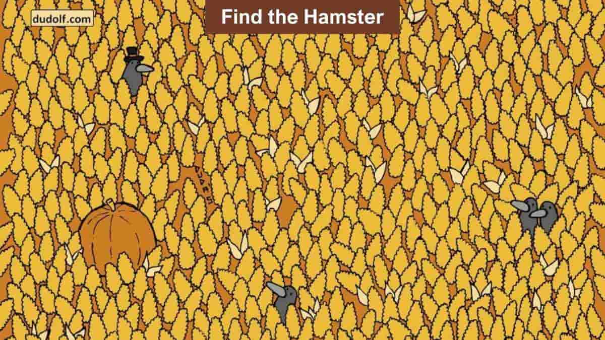 You have hawk eyes if you can spot the hidden hamster in the picture in 8 seconds! 
