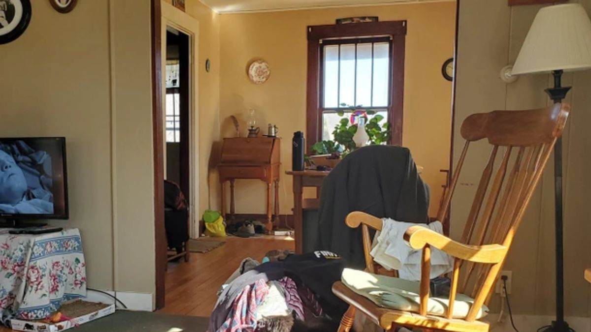 Optical Illusion for Testing Your IQ: Only 1% Can Spot Hidden Cat Resting in the Picture in 11 secs!