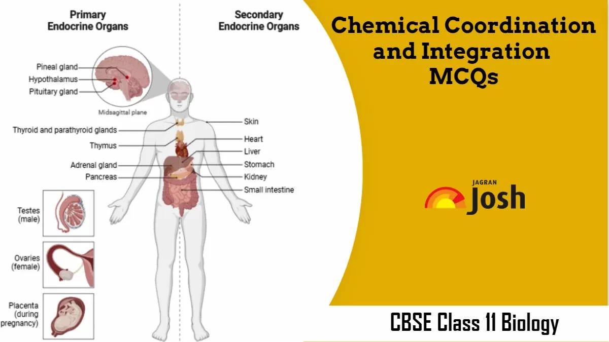 CBSE Chemical Coordination and Integration Class 11 MCQs
