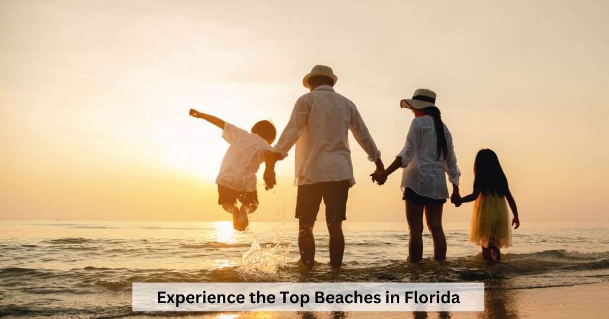 The Best 7 Beaches In Florida You Need To Visit In 2023