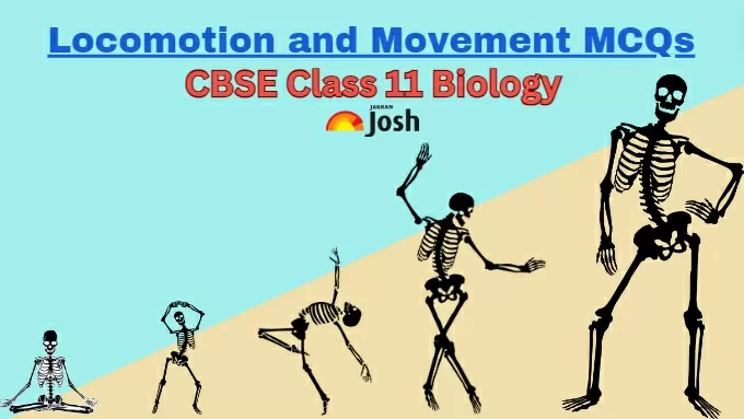 CBSE Locomotion and Movement Class 11 MCQs