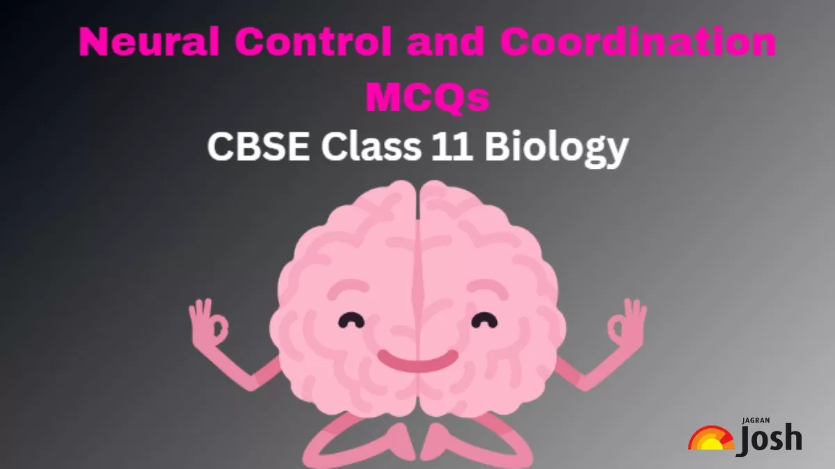 CBSE Neural Control and Coordination Class 11 MCQs