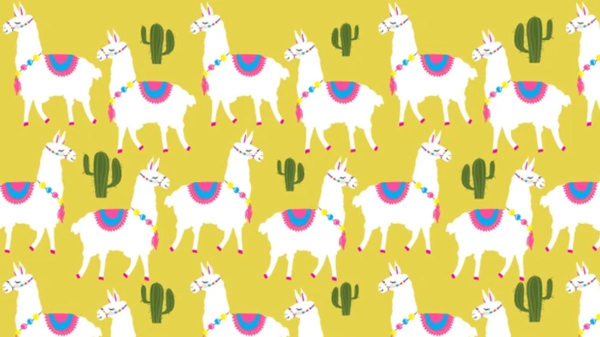 Brain Teaser for Testing Your IQ: Can you spot the ODD Llama in the picture within 7 secs?