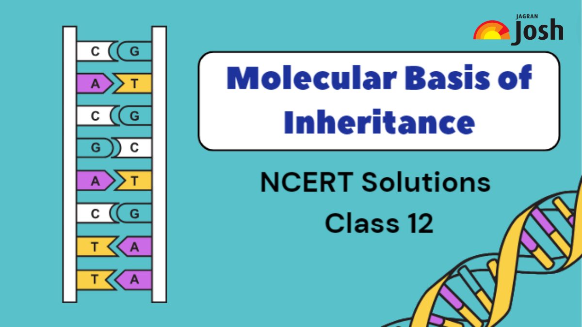 Ncert Solutions For Class 12 Chapter 5 Molecular Basis Of Inheritance Download Pdf 2325