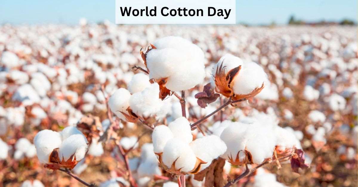 World Cotton Day 2023