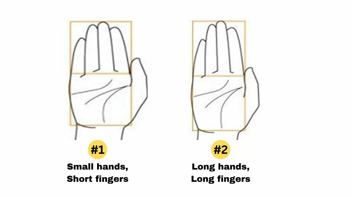 1: Example of the hand shape with five fingers identities.