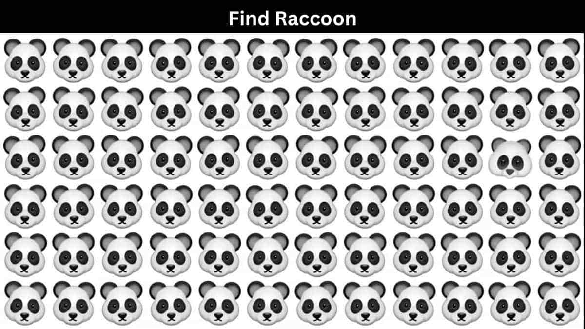 You are highly attentive if you can spot the raccoon among pandas in the picture in 4 seconds!