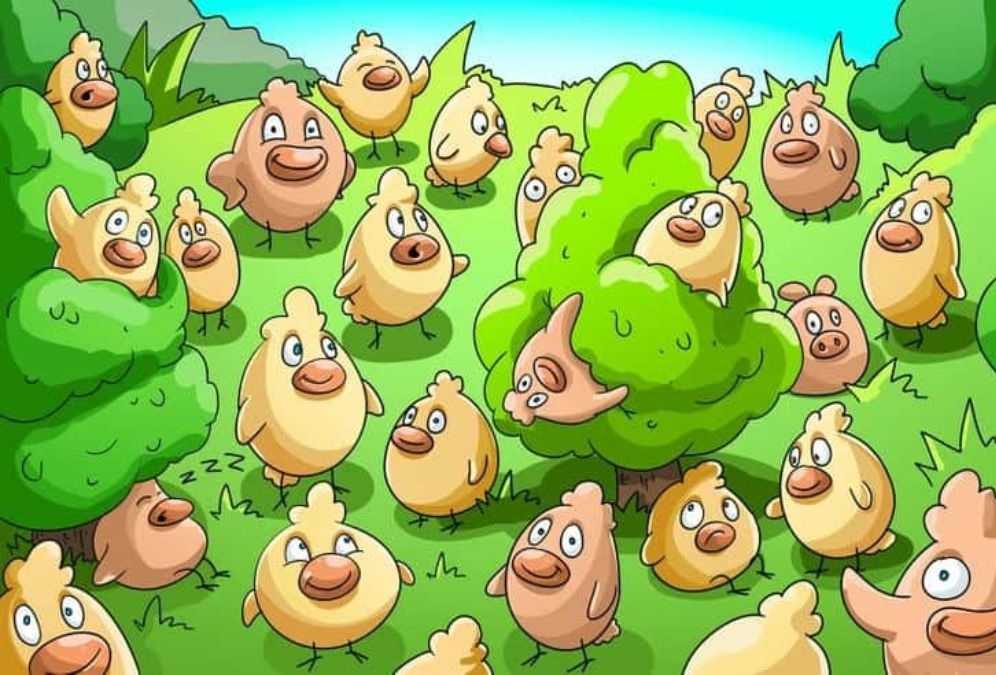 hidden animals picture puzzles