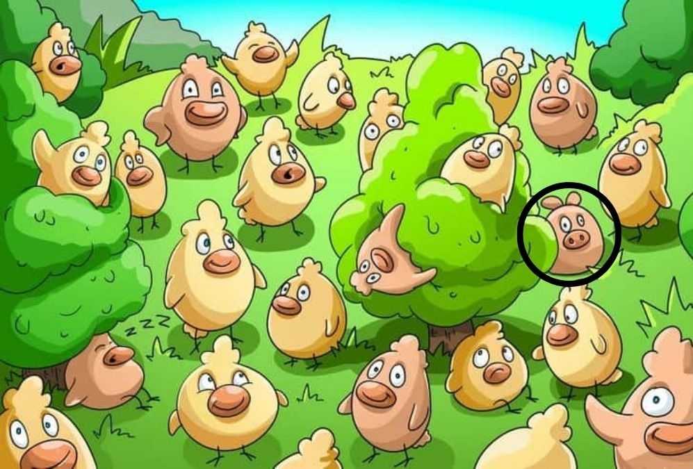 hidden picture puzzles with answers