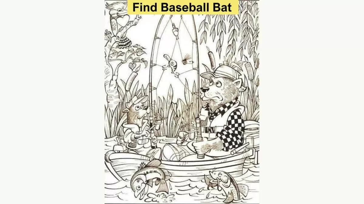 Find the Baseball Bat in 5 Seconds