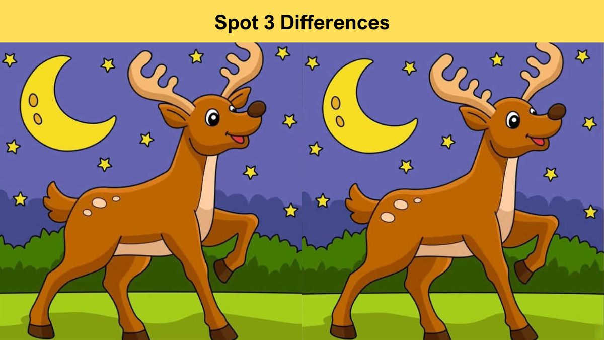 Spot 3 differences between the two deer pictures in 14 seconds!