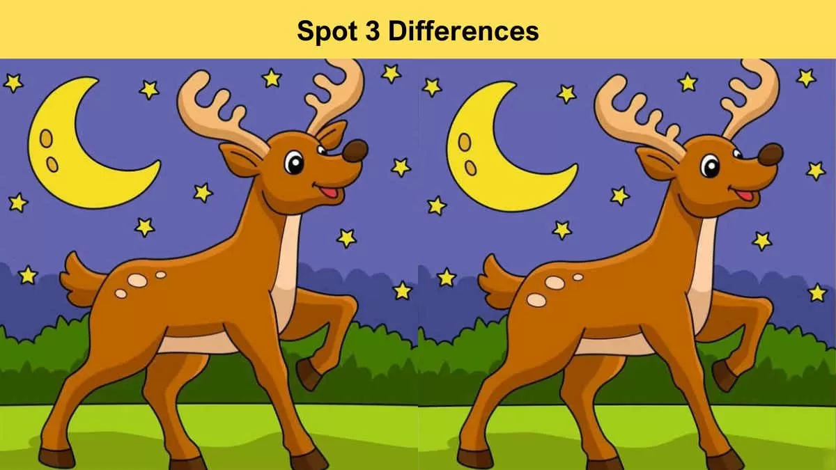 Spot 3 Differences in 14 Seconds