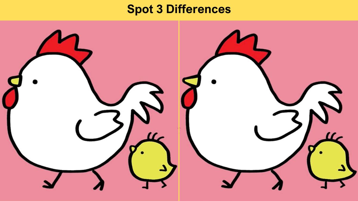 Spot 3 differences between the hen and chick pictures in 11 seconds!