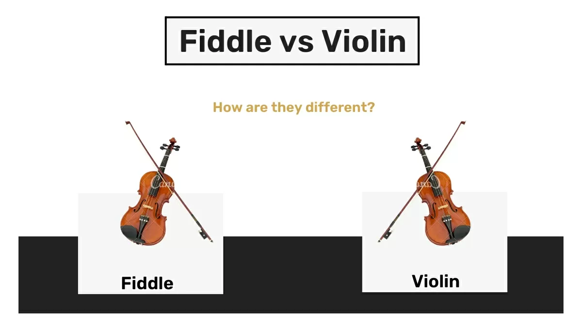Here are the differences between fiddle and violin
