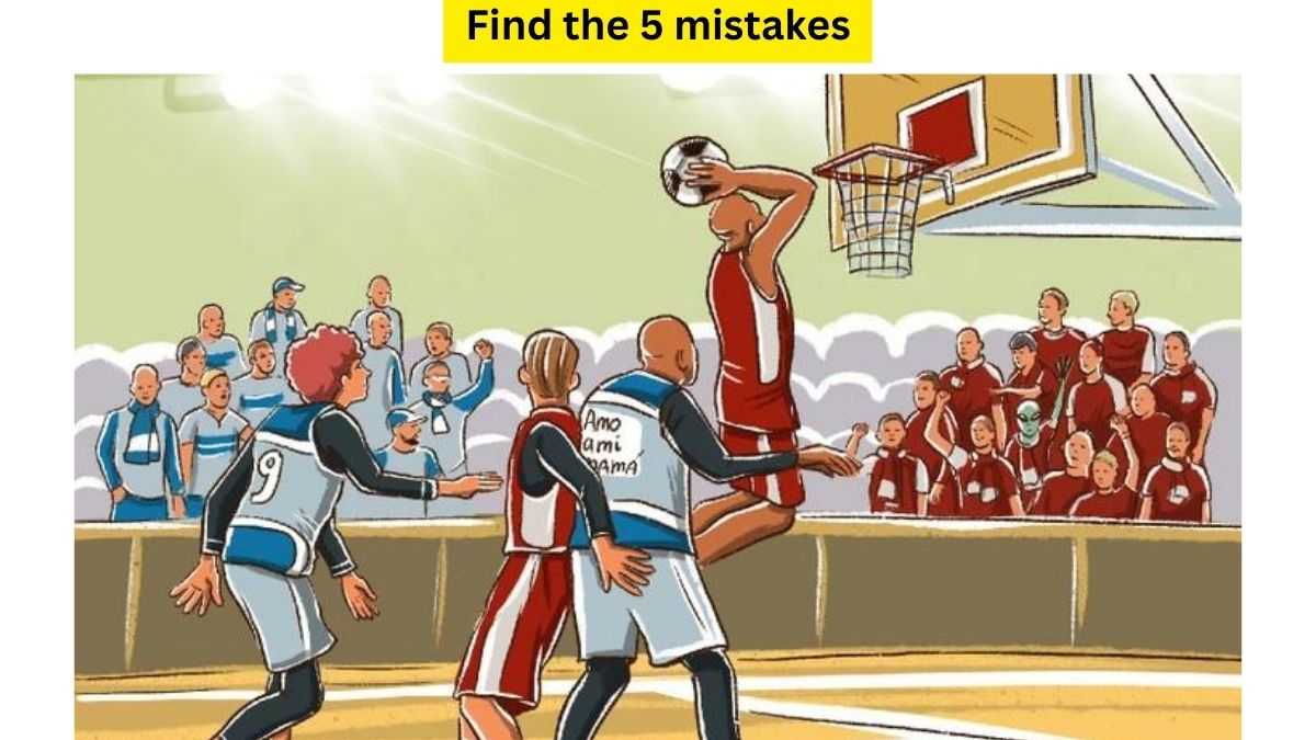 Brain Teaser IQ Test: Only A Champion Can Find All 5 Mistakes In The Basketball Match Picture. 11 Seconds Left! 