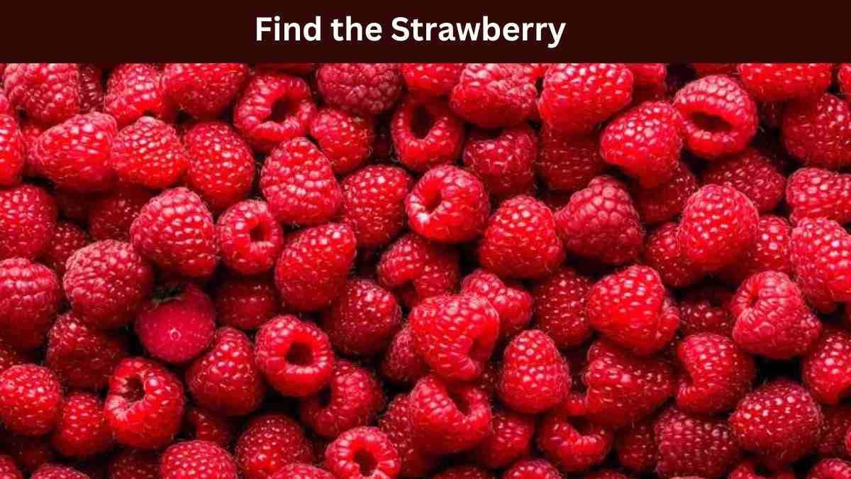 Test your Vision Sharpness by Finding the Strawberry among Raspberries in 1 Minute Brain Teaser. Good Luck!