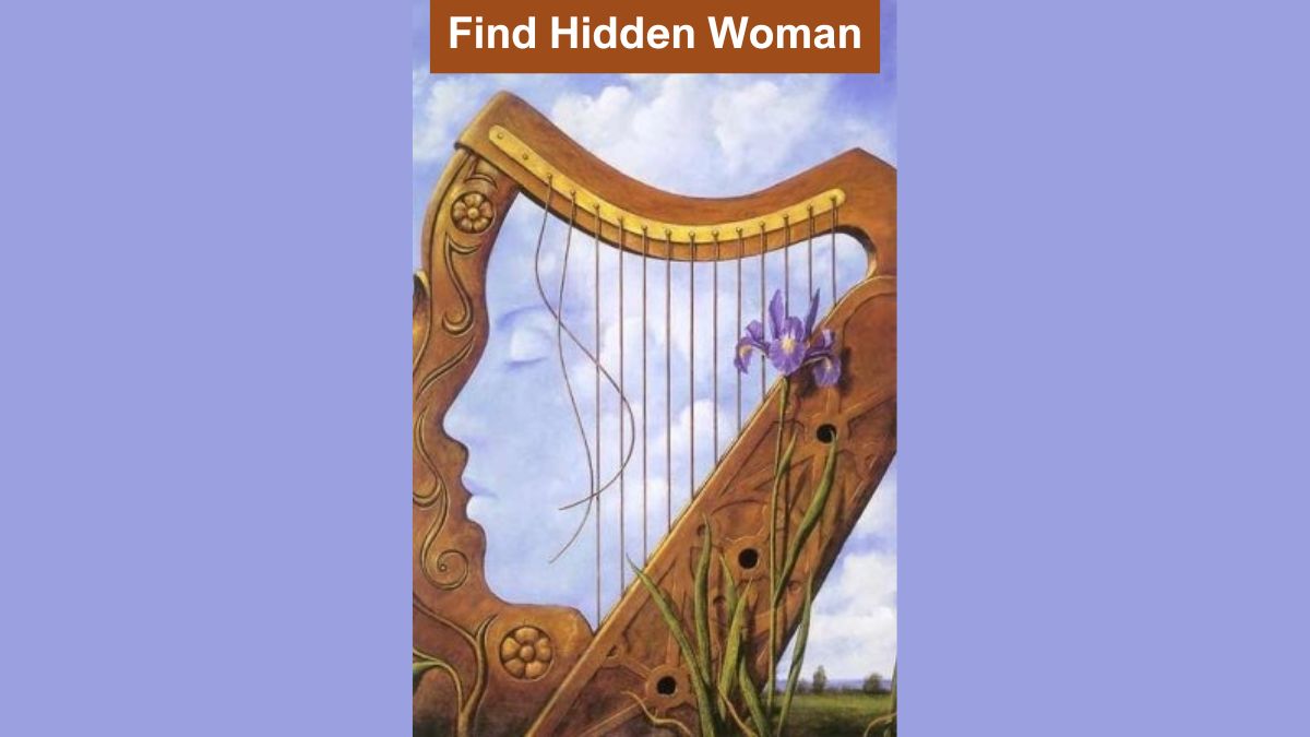 Optical Illusion Eye Test: Find the hidden woman in the picture in 3 seconds!