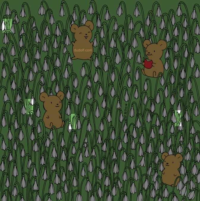 hidden optical illusions images