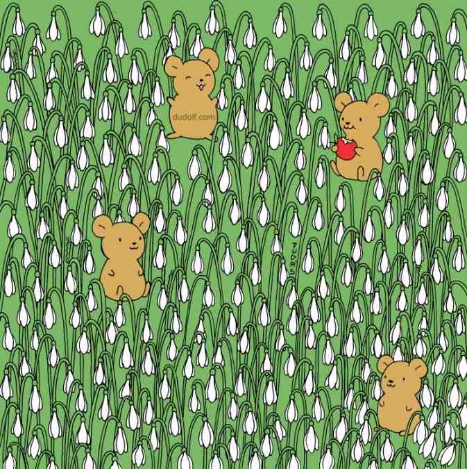 hidden animals optical illusions