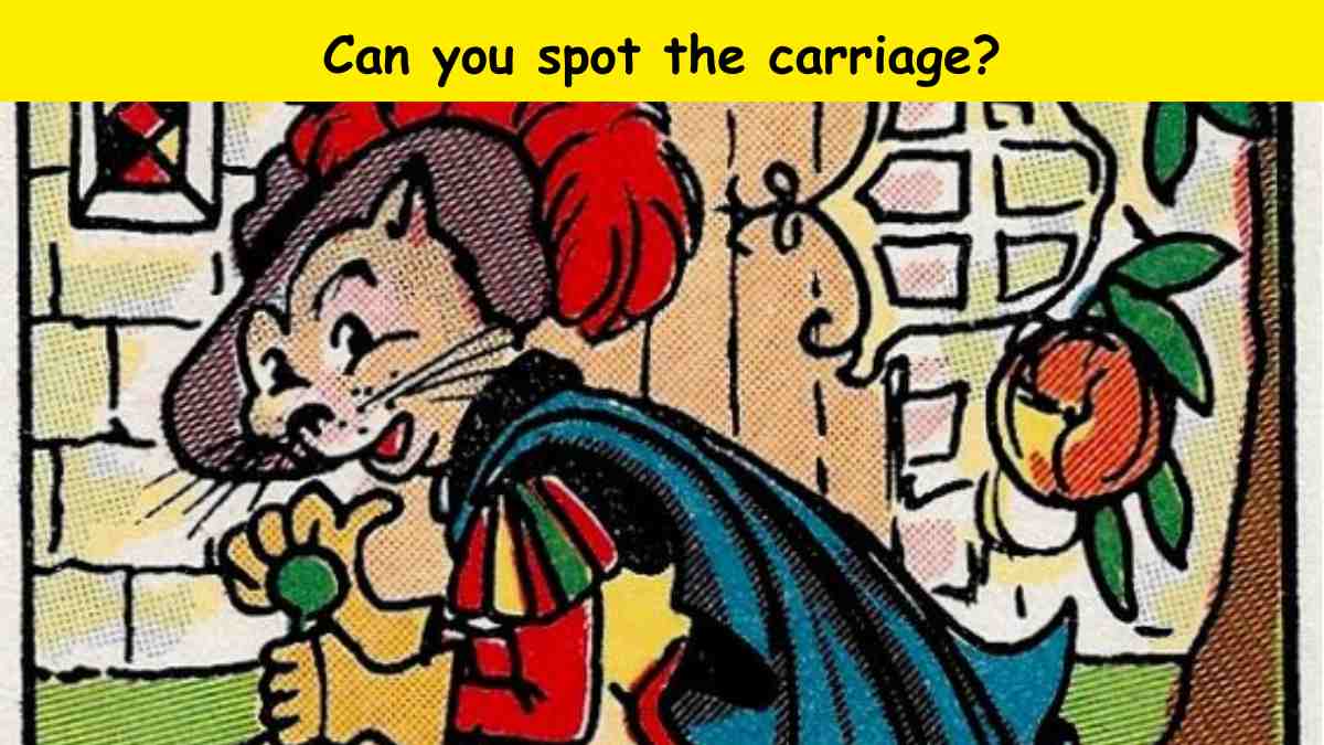 Can you spot the carriage in the Puss In Boots picture within 8 seconds?