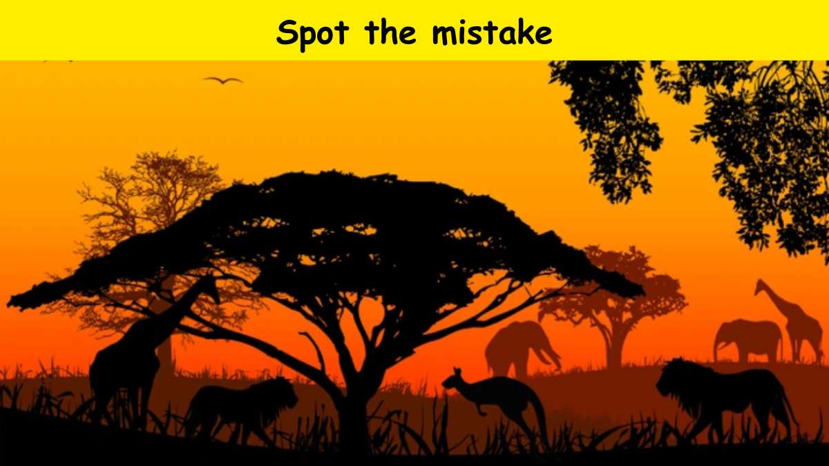 Only geniuses can spot the mistake in the savannah within 6 seconds.