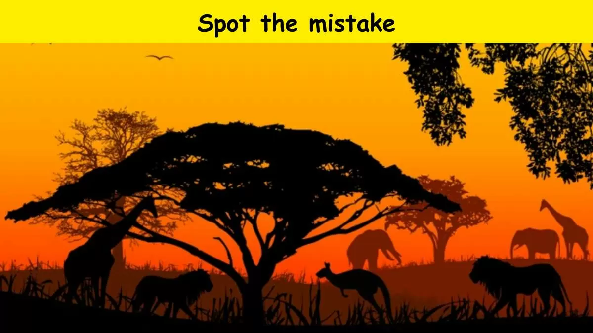 Brain Teaser- Spot the mistake                   