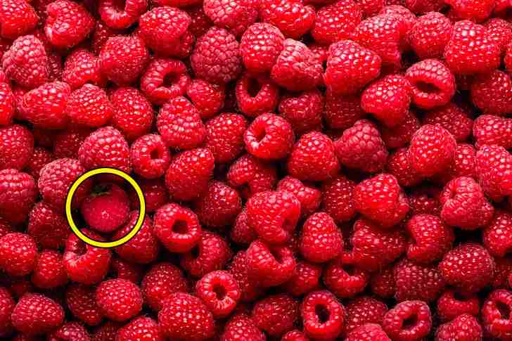 the strawberry is here