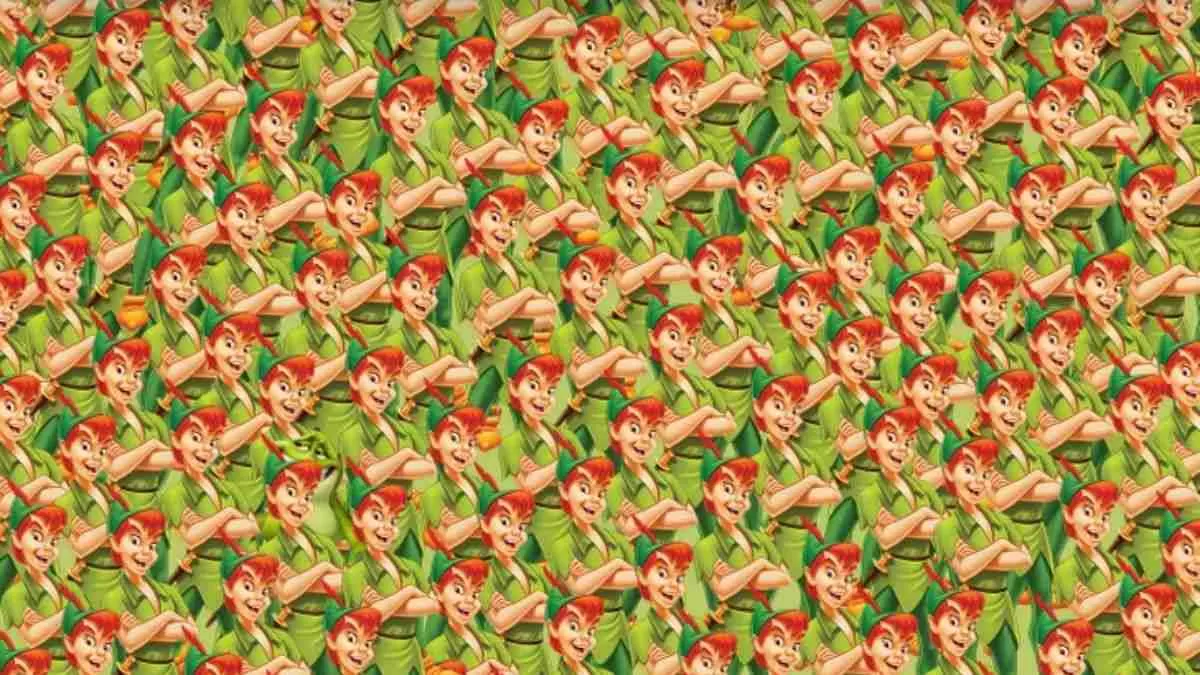 Optical Illusion for Testing Your IQ