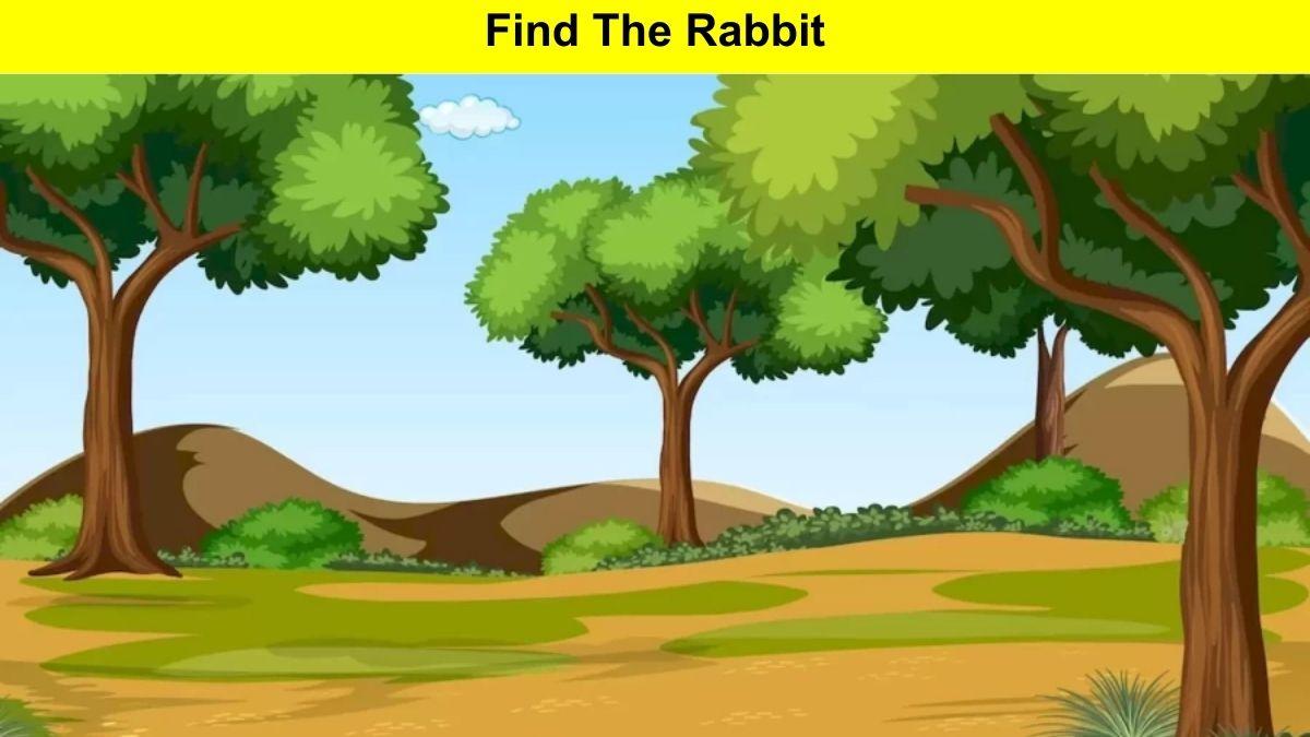 Only Eagle Eyes Can Spot The Rabbit In This Optical Illusion Image Within 12 Seconds! 