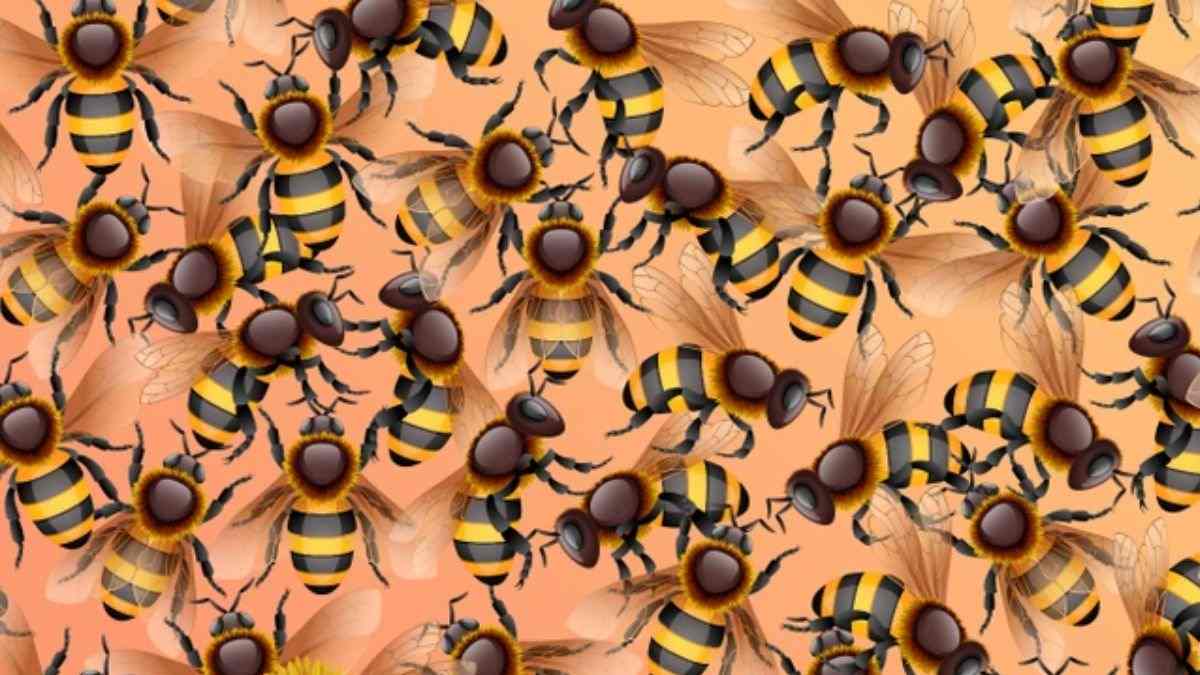 Optical Illusion for Testing Your IQ: Only 5% Can Spot the Sunflower Hidden Among Bees in Picture within 11 secs!