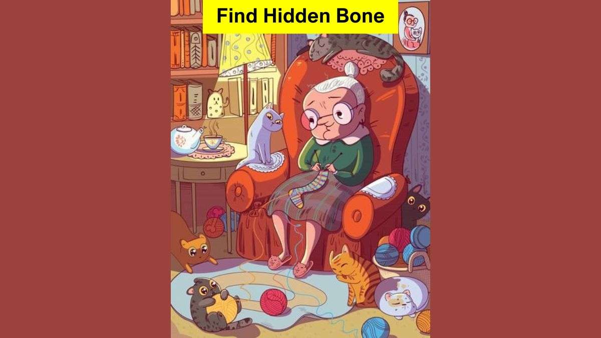 Seek and Find Puzzle: Find hidden bone in the picture in 7 seconds!