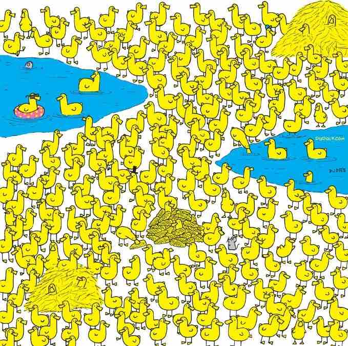 hidden animals picture puzzle