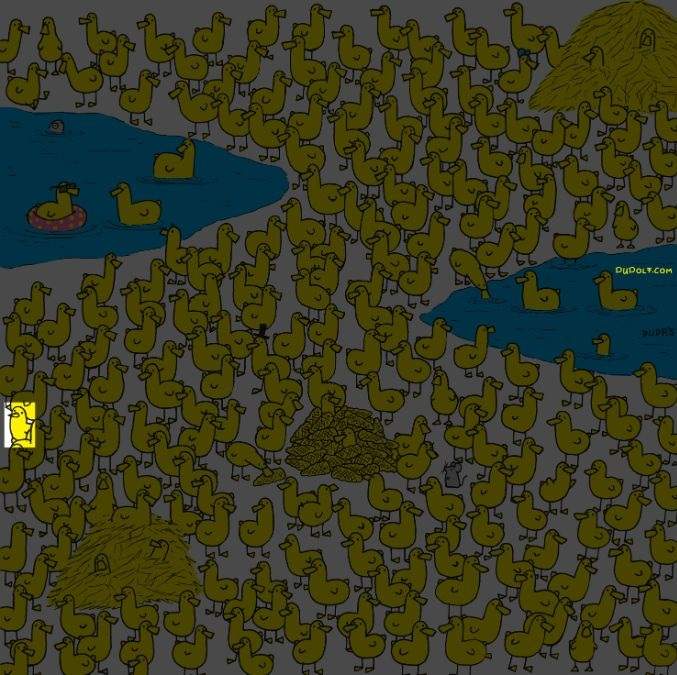 find hidden animals in the picture