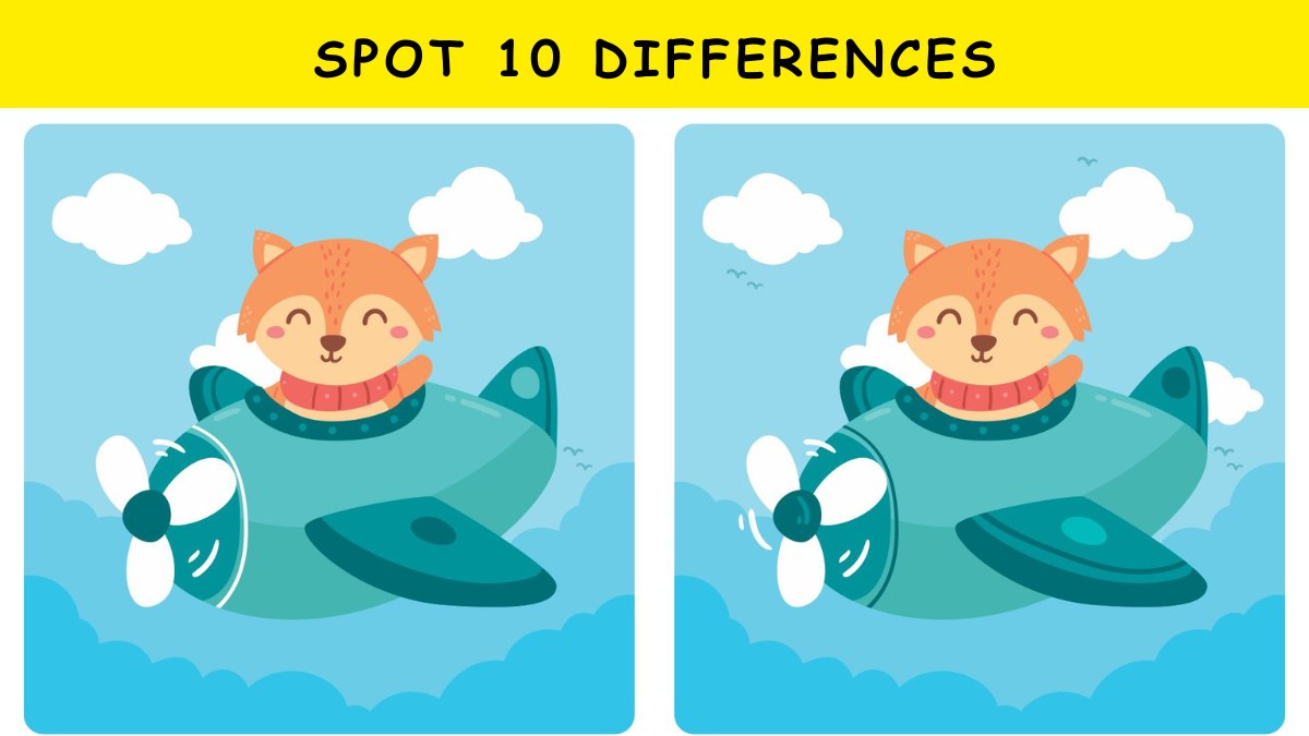 Spot 10 differences in the flying fox images within 45 seconds!