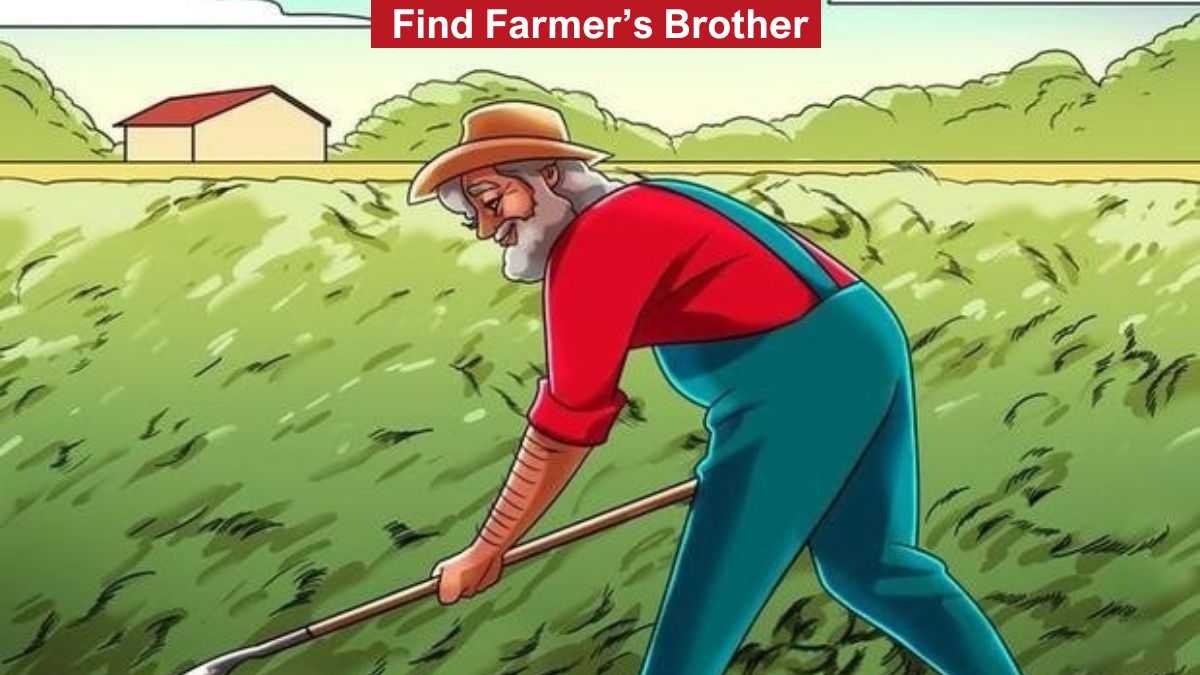 Find the farmer’s brother in the picture in 7 seconds